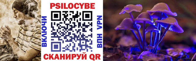 kraken tor Омск Псилоцибиновые грибы прущие грибы